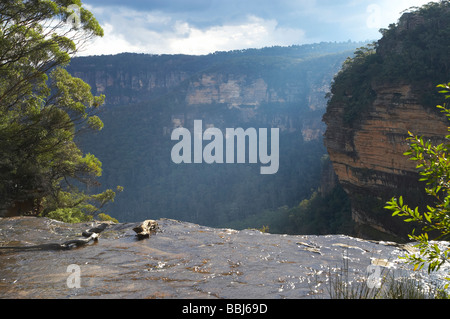 Wentworth Falls immergersi in Jamison Valley Blue Mountains Nuovo Galles del Sud Australia Foto Stock