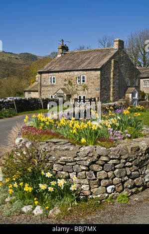 dh Yorkshire Dales National Park WHARFEDALE NORTH YORKSHIRE English Village Fiori cottage primavera narcisi regno unito villaggi casa rurale Inghilterra paese Foto Stock