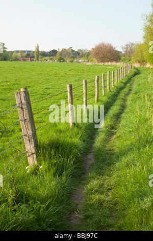 Vista lungo il Tamigi alla ricerca del percorso a valle a Clifton Hampden road bridge Oxfordshire UK Foto Stock