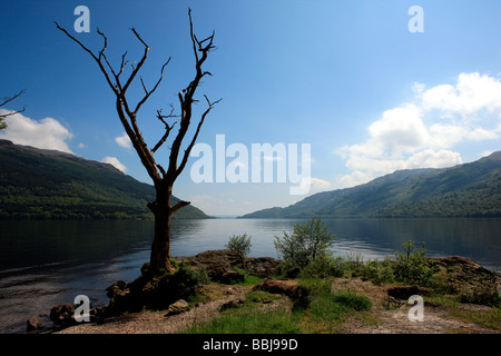 Loch Lomond Foto Stock