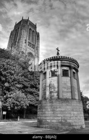 HDR Ritratto di William Huskisson Memorial e la torre di Liverpool Cattedrale anglicana, Merseyside, Regno Unito Foto Stock