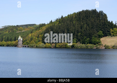 Lake Vyrnwy RSPB Riserva, Powys, Wales, Regno Unito Foto Stock
