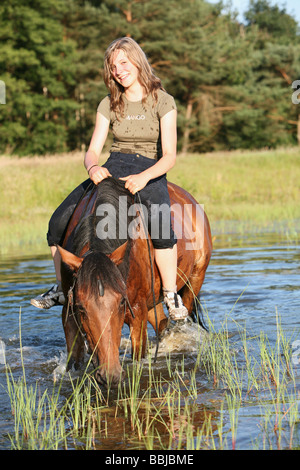 Cavaliere a cavallo - in acqua Foto Stock