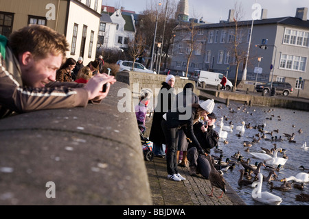 Le persone scattano fotografie e di alimentazione di uccelli. Il lago Tjörnin, centro di Reykjavik in Islanda. Foto Stock