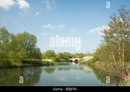 Sutton Road Bridge sul fiume Tamigi a Culham Oxfordshire Uk Foto Stock