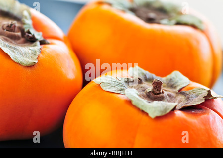 Tutta arancione persimmon maturi frutti su una piastra Foto Stock