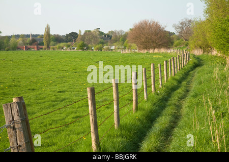 Vista lungo il Tamigi alla ricerca del percorso a valle a Clifton Hampden road bridge Oxfordshire UK Foto Stock