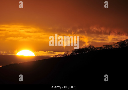 Rosso tramonto scontornamento inverno alberi su un declivio della collina in Pennines, a nord di Halifax, Regno Unito Foto Stock