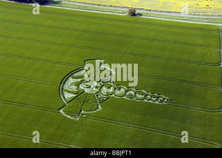 Riprese aeree del 2009 Yatesbury Dragonfly Crop Circle, con cinque persone a terra per dare è il livello di scalabilità. Preso da ultraleggero Foto Stock