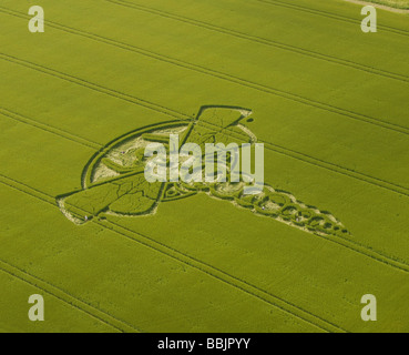 Riprese aeree del 2009 Yatesbury Dragonfly Crop Circle, con cinque persone a terra per dare è il livello di scalabilità. Preso da ultraleggero Foto Stock