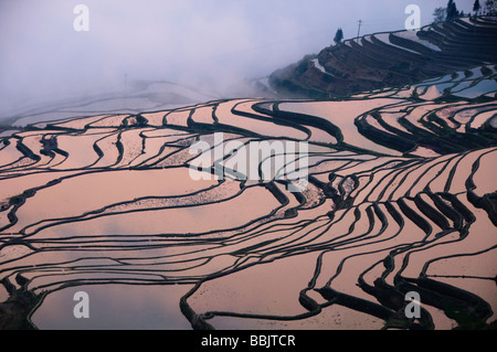 Sunrise presso lo spettacolare riempito di acqua terrazze di riso di Yuanyang Yunnan in Cina Foto Stock