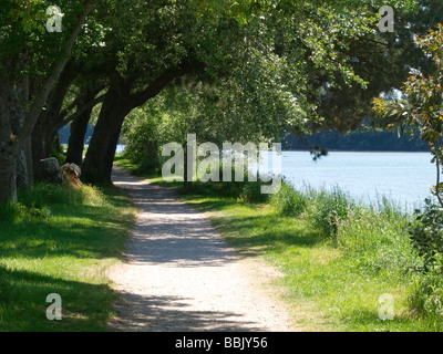 Il River Side Walk, Truro Foto Stock