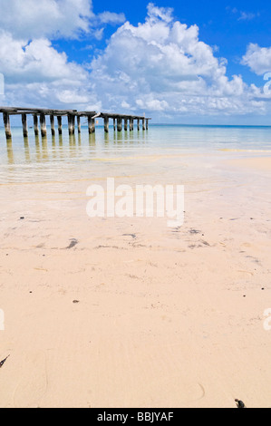 McKenzie's Jetty, l'Isola di Fraser, Queensland Foto Stock