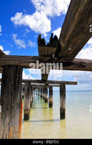 McKenzie's Jetty, l'Isola di Fraser, Queensland Foto Stock