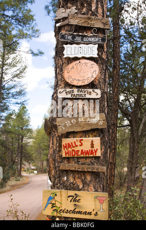 Segni di Camp su albero di Payson, Arizona Foto Stock