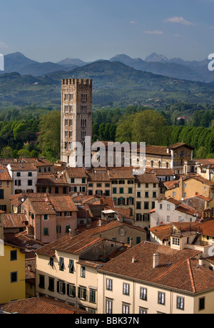 Angolo di alta vista di Lucca dalla Torre Guinigi, alla Basilica di San Frediano, Lucca, Toscana, Italia, Europa Foto Stock