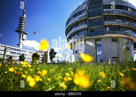 Internazionale Istituto Neuroscienze INI, Hannover, Bassa Sassonia, Germania Foto Stock