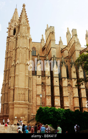 Il Seo,Palma de Mallorca la famosa Cattedrale Gotica fu iniziata nel 1230 ma non completato fino al 1601 Foto Stock