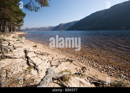 Riva del Loch Muick dal Royal residence a Glas-allt Shiel, Balmoral station wagon Foto Stock