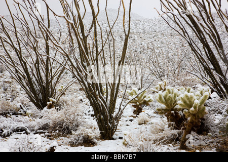 Neve in Anza Borrego Desert State Park California Foto Stock