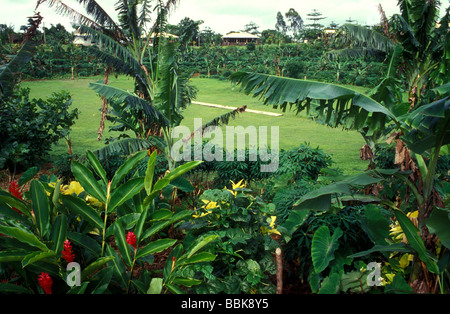 Savaii samoa Foto Stock