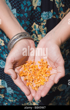 Donna s mani piccoli fiori gialli Foto Stock