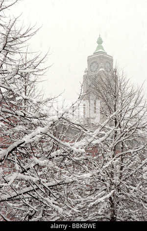 Londra Torre di osso nella neve Foto Stock