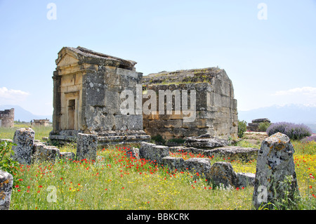 Necropoli tombe, Hierapolis, provincia di Denizli, Repubblica di Türkiye Foto Stock