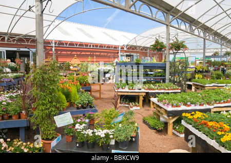 Immagine tipica di un giardino inglese centro in estate, con molte piante e fiori per la vendita. Foto Stock