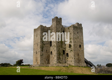 Castello di Trim, Trim, Co Meath, Irlanda Foto Stock