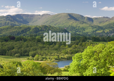 Oltre Blelham Tarn verso il fells sopra la città di Ambleside nel distretto del lago, Inghilterra Foto Stock