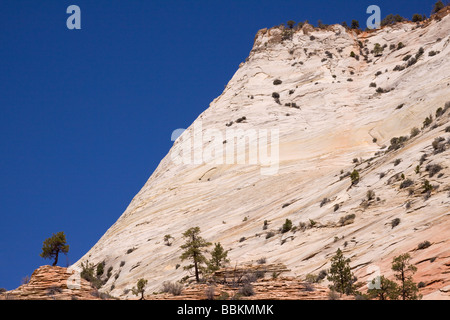 Rock Cliffs visto da Zion-Mount Carmel Highway, il Parco Nazionale di Zion, Utah Foto Stock