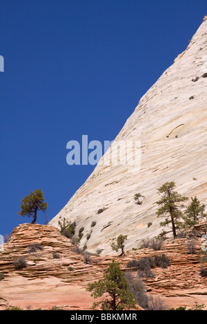 Rock Cliffs visto da Zion-Mount Carmel Highway, il Parco Nazionale di Zion, Utah Foto Stock