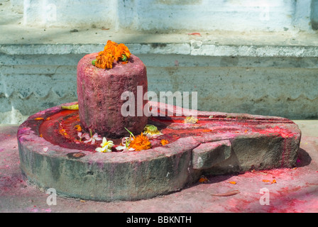 Shiva linga - oggetto di culto per gli indù. Holi festival, Varanasi (India). Foto Stock