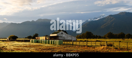 Scene di paesaggio che mostra i terreni agricoli vicino ghiacciaio Fox Foto Stock