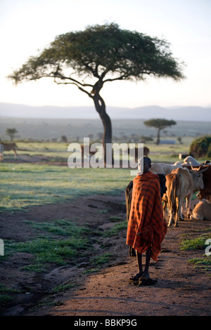 Ngoiroro è un villaggio di 200 abitanti tutti appartenenti alla tribù Massai il villaggio stabilisce a destra nella Rift valley a sud di Nairobi contro il bordo della Tanzania il Massai vivere molto vicino alla natura e i loro animali le mucche e capre sono più importante quindi denaro al massai ogni famiglia possiede circa 50 vacche e 50 capre la dieta principale degli abitanti del villaggio è la carne e il latte le donne sono supponiamo per mungere le mucche due volte al giorno e i bambini piccoli sono a guardare dopo la mandria durante il giorno mentre pascolando Foto Stock