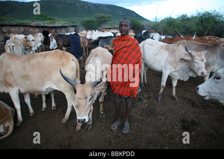 Ngoiroro è un villaggio di 200 abitanti tutti appartenenti alla tribù Massai il villaggio stabilisce a destra nella Rift valley a sud di Nairobi contro il bordo della Tanzania il Massai vivere molto vicino alla natura e i loro animali le mucche e capre sono più importante quindi denaro al massai ogni famiglia possiede circa 50 vacche e 50 capre la dieta principale degli abitanti del villaggio è la carne e il latte le donne sono supponiamo per mungere le mucche due volte al giorno e i bambini piccoli sono a guardare dopo la mandria durante il giorno mentre pascolando Foto Stock