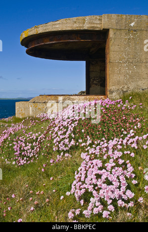 Dh testa Hoxa SOUTH RONALDSAY ORKNEY la II Guerra Mondiale il proiettore di pistola posizione piattaforma scatola di pillole seapinks batteria Foto Stock