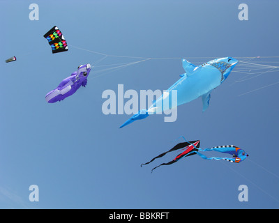 Aquiloni multipli volare in aria,Animali e pesce,colorato.cielo blu chiaro Foto Stock