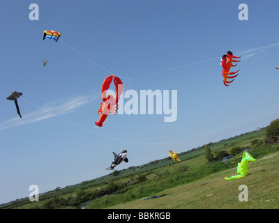 Aquiloni multipli volare in aria,Animali e pesce,colorato. Foto Stock