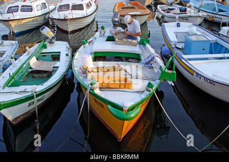 Barche da pesca in porto, fisherman lavorando, Rovigno, Istria, Croazia Foto Stock