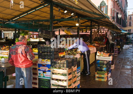 Proprietario di stallo che espone le verdure all'inizio dei giorni di mercato Il mercato di Rialto San Polo Venezia Italia Foto Stock