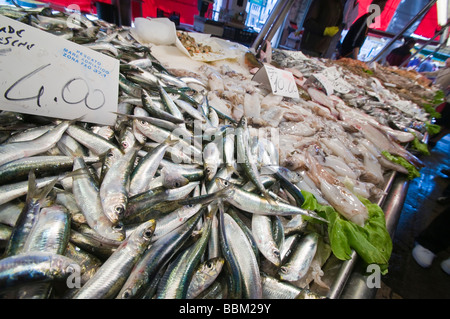 Sardine in vendita presso la Pescheria di Rialto Mercato del pesce San Polo Venezia Italia Foto Stock