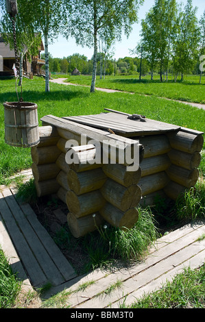 Disegnare in legno e nella zona rurale con shadoof. Erba verde intorno ad esso. Casa in legno in background. Villaggio russo. La Russia Foto Stock