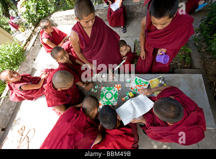 Il debuttante monaci giocando puzzle. Tsechokling monastero tibetano. McLeod Ganj. Dharamsala. India Foto Stock