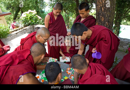 Il debuttante monaci giocando puzzle. Tsechokling monastero tibetano. McLeod Ganj. Dharamsala. India Foto Stock