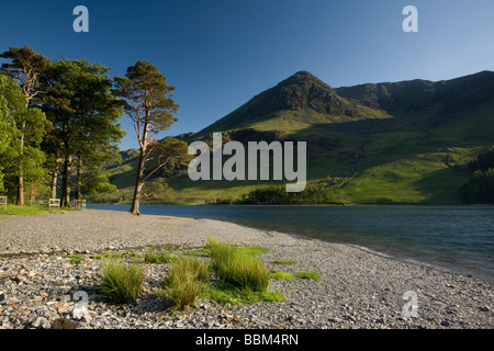 Basso livello dell'acqua nel lago a Buttermere durante l'estate. Parco Nazionale del Distretto dei Laghi, Inghilterra Foto Stock