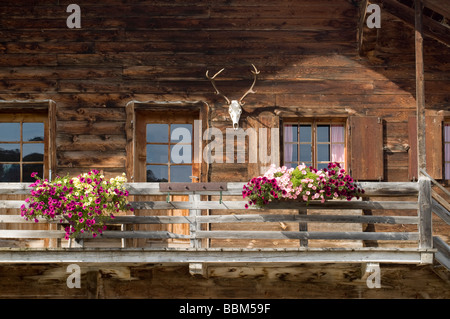 Dettaglio, Walder-Alm mountain lodge, Gnadenwald district, Tirolo, Austria, Europa Foto Stock