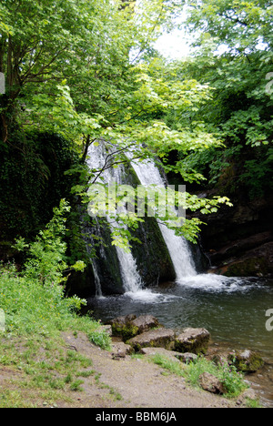 Janets Foss cascata vicino Malham villaggio in Yorkshire Dales Foto Stock