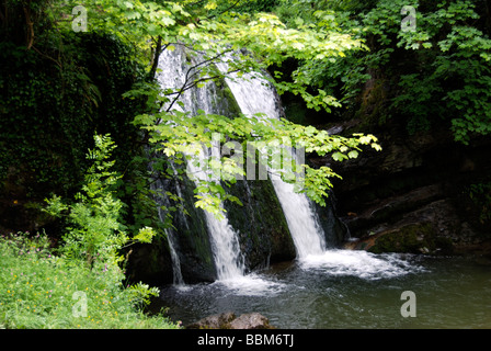 Janet's Foss cascata vicino Malham villaggio in Yorkshire Dales Foto Stock